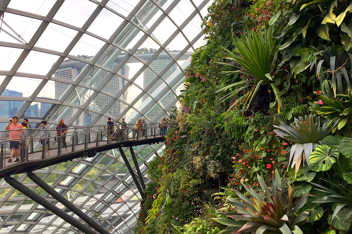 Singapore Skyline